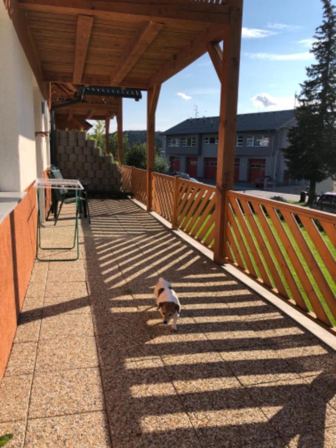 Apartmany Eva Frymburk Exteriör bild